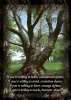 5x7 Print - Teacher Tree